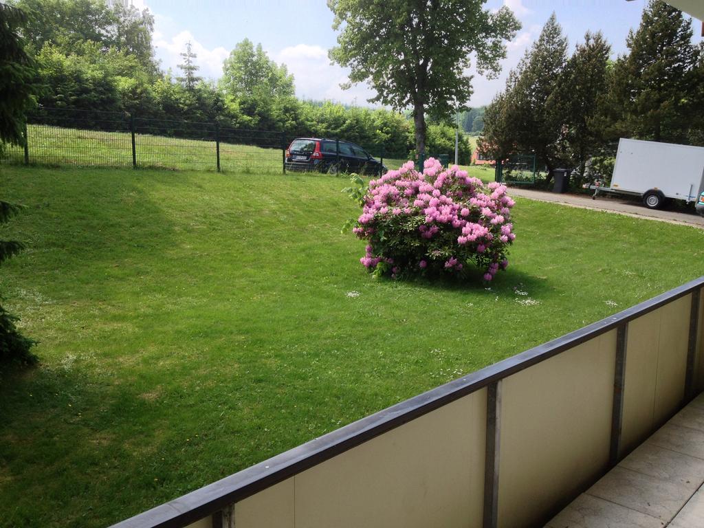 Apartment Harzidyll Living Apartements Braunlage